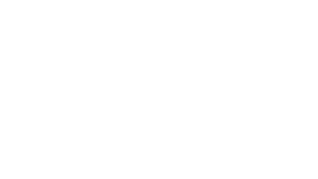 Healthy Life Snacks Logo